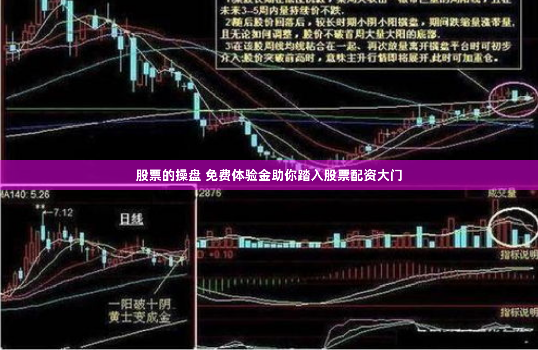 股票的操盘 免费体验金助你踏入股票配资大门
