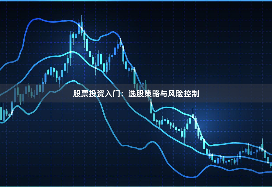 股票投资入门:选股策略与风险控制